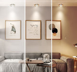 LED downlight golden warm light ceiling light round 5W/7W/9W/12W 110V 220V three-color variable