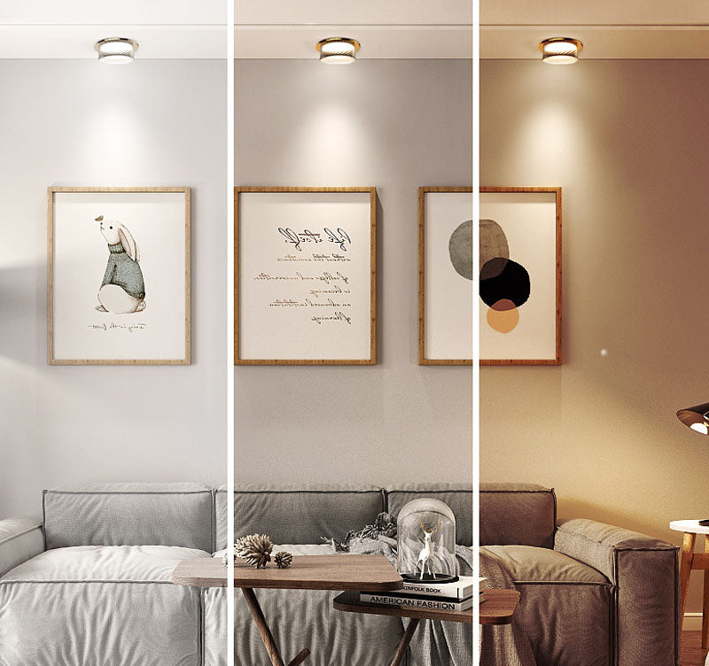 LED downlight golden warm light ceiling light round 5W/7W/9W/12W 110V 220V three-color variable