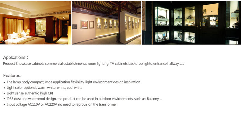 Ultra Thin Dimming IP65 3W 5W 110V 220V 240V Bathroom LED Ceiling Lighting CE Downlight Dining Auto Wine Closet Showcase Lamp