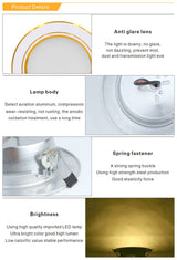LED Downlight Ceiling 5W 9W 12W 15W 18W led Ceiling lamp Gold/Silver/White Body AC 220V 230V 240V led light