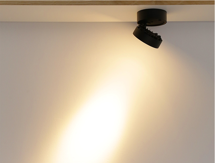 Round Shape 360 Adjustable Angle Led Cob Downlight 7w 9W 12W 15 Led Ceiling Spot Light Pic Background Spotlights TV Background