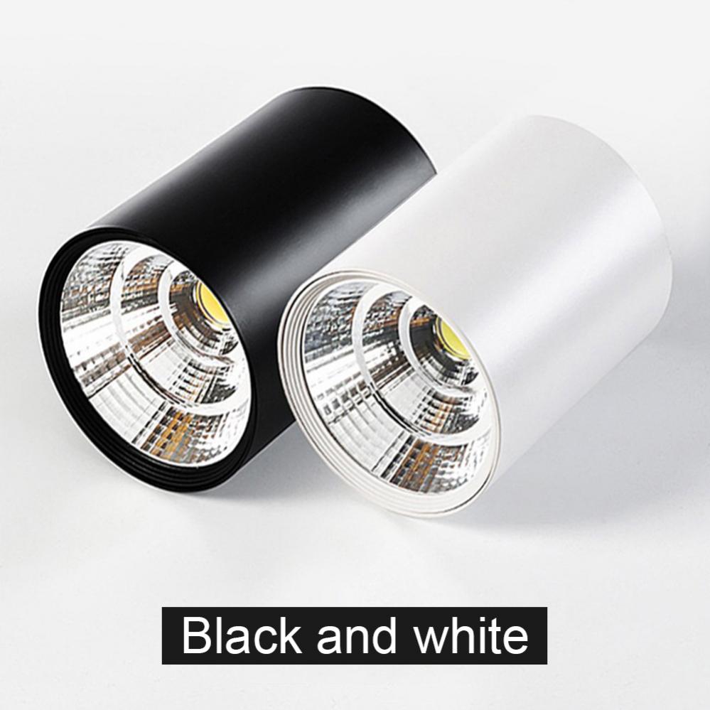 LED Surface Mounted Downlight 2 Colors COB Ceiling Spot Light for Hotel Villa Home Lighting