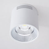 LED Surface Mounted Downlight 2 Colors COB Ceiling Spot Light for Hotel Villa Home Lighting
