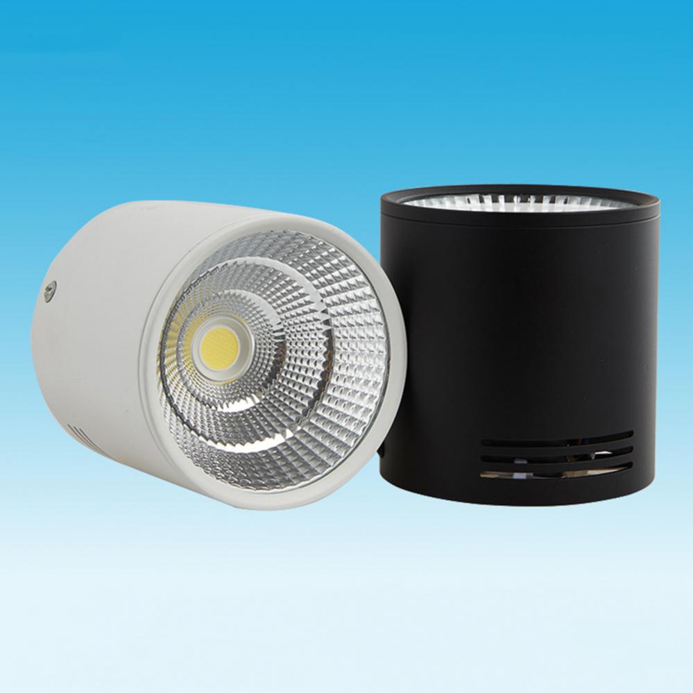 LED Surface Mounted Downlight 2 Colors COB Ceiling Spot Light for Hotel Villa Home Lighting