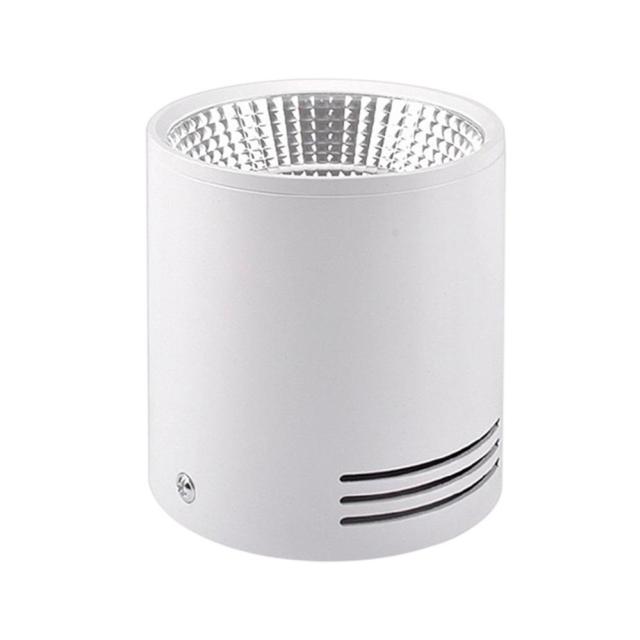 LED Surface Mounted Downlight 2 Colors COB Ceiling Spot Light for Hotel Villa Home Lighting