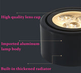 Surface Mounted Ceiling light downlight SMD5730 6W 10W 14W 18W 24W AC85-265V COB Led Ceiling lamp Spot light indoor lighting