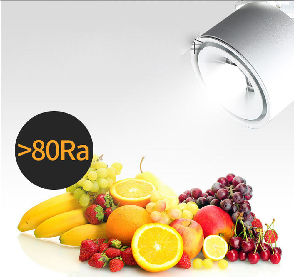 Mini Embedded LED Downlight Recessed Ceiling lamp 5W 7W 10W 360 degree rotation LED Ceiling Lamp Spot Light Downlight AC85-265V