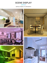 Zigbee 3.0 Smart RGB+CCT LED Downlight Pro 6W/9W/12W Waterproof Rate IP54 For Living Room Kitchen Corridor Bathroom Dinning Room