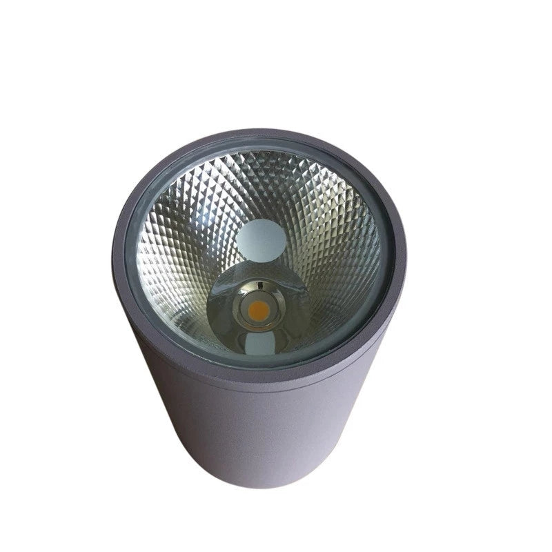 Surface Mounted Led Downlight Ceiling Spot Light 10W 12W 20W 25W 30W Outdoor Hotel Villa Home Waterproof Ip65 Indoor Lighting