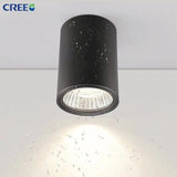 Surface Mounted Led Downlight Ceiling Spot Light 10W 12W 20W 25W 30W Outdoor Hotel Villa Home Waterproof Ip65 Indoor Lighting