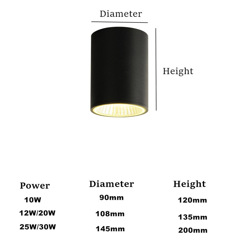 Surface Mounted Led Downlight Ceiling Spot Light 10W 12W 20W 25W 30W Outdoor Hotel Villa Home Waterproof Ip65 Indoor Lighting