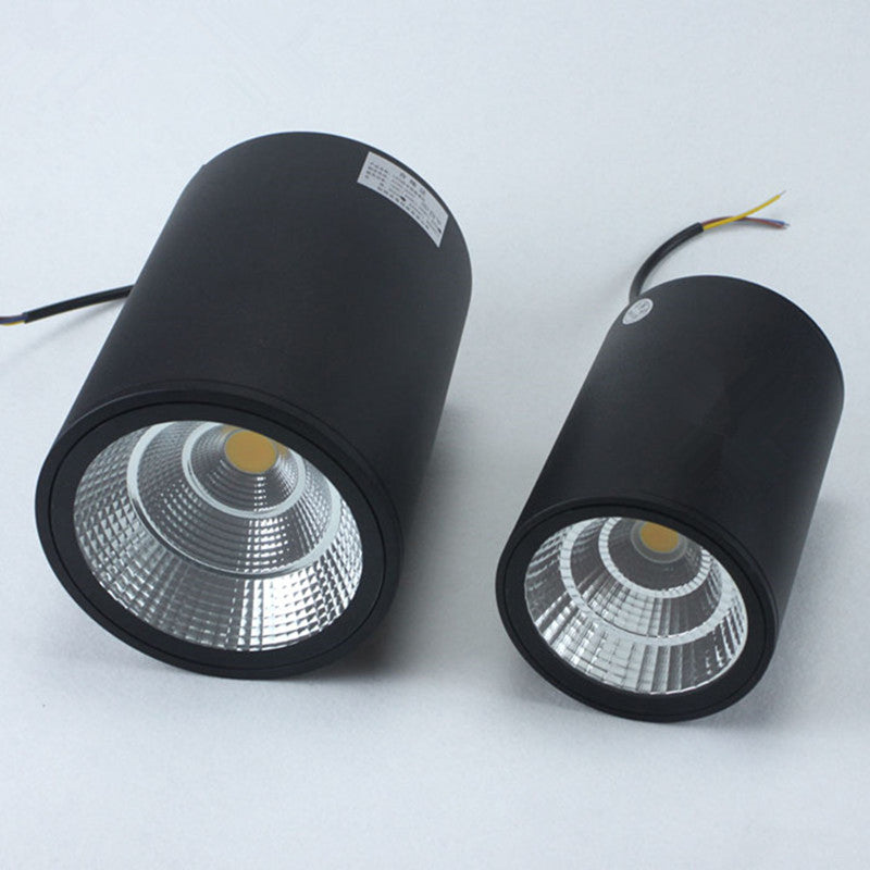 Surface Mounted Led Downlight Ceiling Spot Light 10W 12W 20W 25W 30W Outdoor Hotel Villa Home Waterproof Ip65 Indoor Lighting