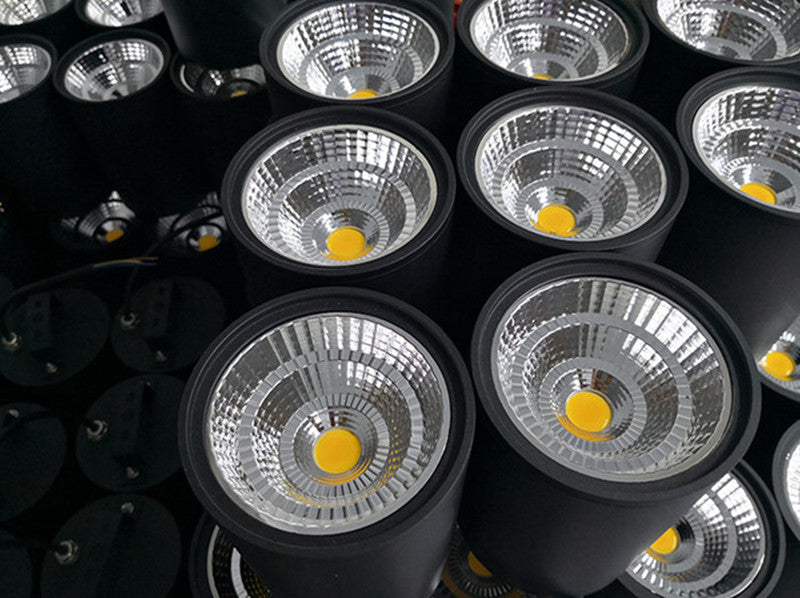 Surface Mounted Led Downlight Ceiling Spot Light 10W 12W 20W 25W 30W Outdoor Hotel Villa Home Waterproof Ip65 Indoor Lighting