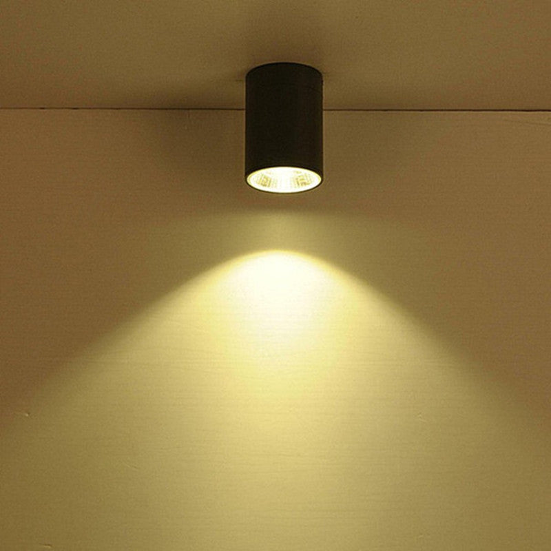 Surface Mounted Led Downlight Ceiling Spot Light 10W 12W 20W 25W 30W Outdoor Hotel Villa Home Waterproof Ip65 Indoor Lighting