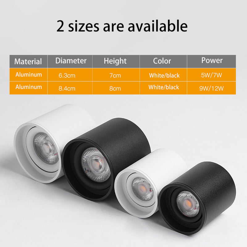 BRGT Led Spotlights Surface Mounted Downlight Living Room White Ceiling Focos Light Nordic Lighting For Kitchen Aisle AC85-265V warm light