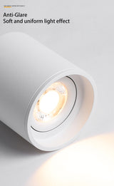 BRGT Led Spotlights Surface Mounted Downlight Living Room White Ceiling Focos Light Nordic Lighting For Kitchen Aisle AC85-265V warm light