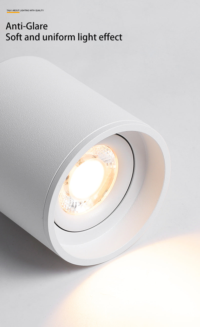 BRGT Led Spotlights Surface Mounted Downlight Living Room White Ceiling Focos Light Nordic Lighting For Kitchen Aisle AC85-265V warm light