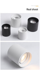 BRGT Led Spotlights Surface Mounted Downlight Living Room White Ceiling Focos Light Nordic Lighting For Kitchen Aisle AC85-265V warm light