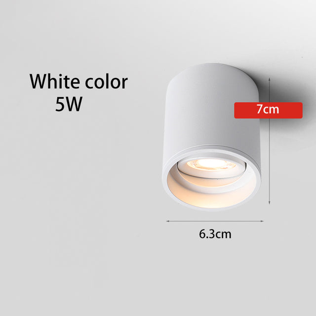 BRGT Led Spotlights Surface Mounted Downlight Living Room White Ceiling Focos Light Nordic Lighting For Kitchen Aisle AC85-265V warm light