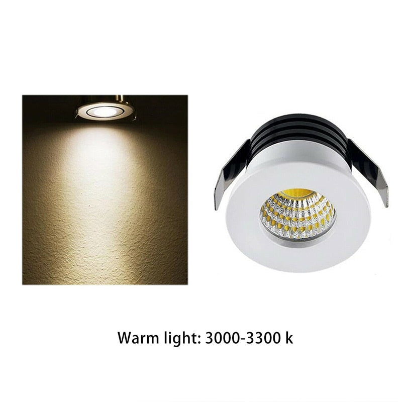 Mini LED Downlight COB 3W Cut Hole 30mm Black White Silver Body AC12V 110V 220V Dust-proof Anti-fog LED Spot Downlights