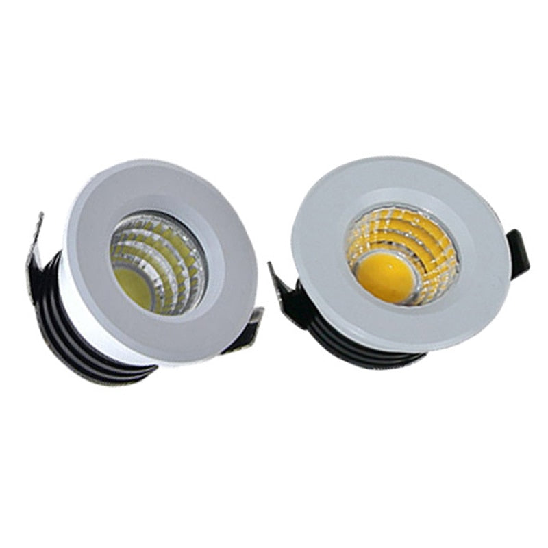 Mini LED Downlight COB 3W Cut Hole 30mm Black White Silver Body AC12V 110V 220V Dust-proof Anti-fog LED Spot Downlights