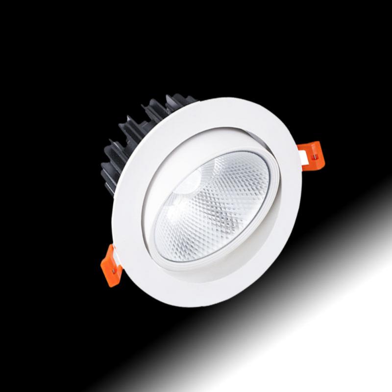 ZigBee Tuya Dual Color Temperature Smart Spotlight 12W LED Ceiling Downlight Light APP Remote Control Bedroom Indoor Lighting