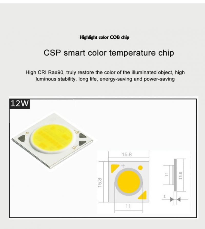 ZigBee Tuya Dual Color Temperature Smart Spotlight 12W LED Ceiling Downlight Light APP Remote Control Bedroom Indoor Lighting