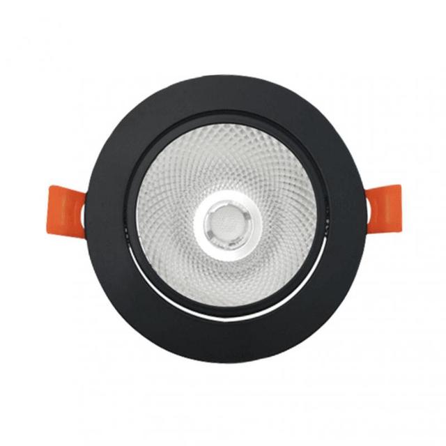 ZigBee Tuya Dual Color Temperature Smart Spotlight 12W LED Ceiling Downlight Light APP Remote Control Bedroom Indoor Lighting