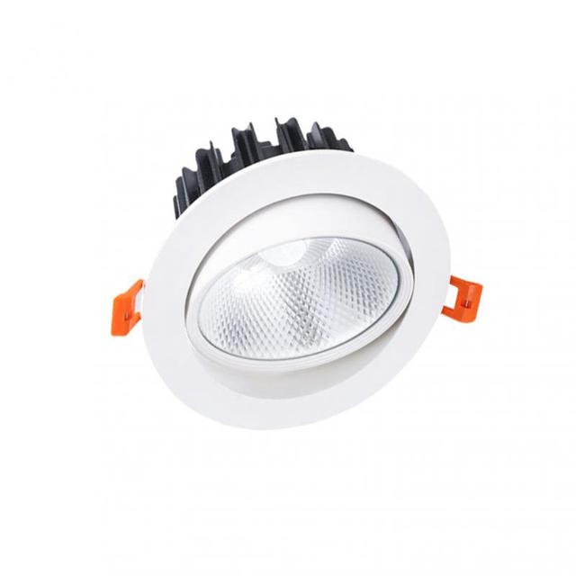 ZigBee Tuya Dual Color Temperature Smart Spotlight 12W LED Ceiling Downlight Light APP Remote Control Bedroom Indoor Lighting