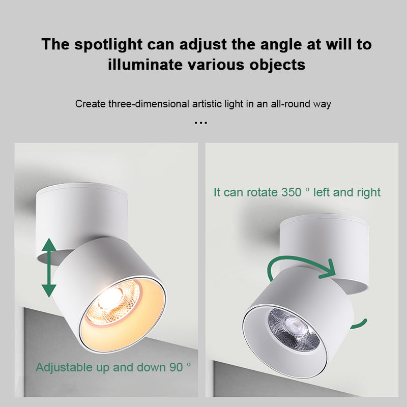 FLKL COB LED Downlight Spot Light 220V Spotlight Ceiling Surface Mounted 5/10/15/25W Led Lamp For Kitchen Indoor Lighting