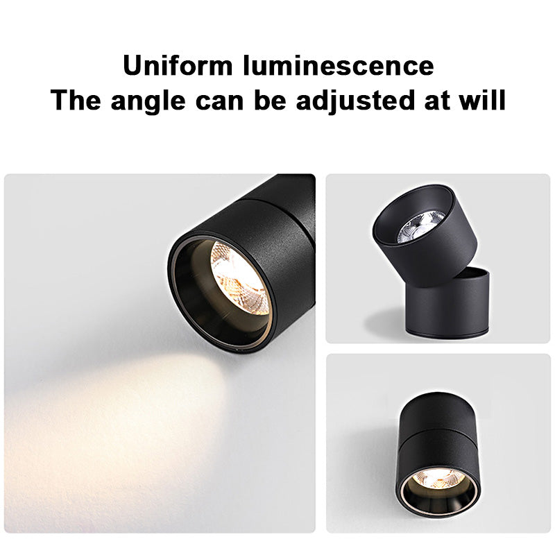 FLKL COB LED Downlight Spot Light 220V Spotlight Ceiling Surface Mounted 5/10/15/25W Led Lamp For Kitchen Indoor Lighting