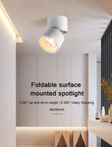 FLKL COB LED Downlight Spot Light 220V Spotlight Ceiling Surface Mounted 5/10/15/25W Led Lamp For Kitchen Indoor Lighting