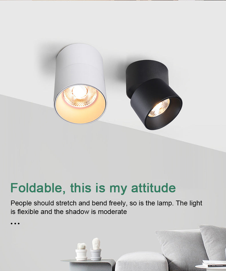 FLKL COB LED Downlight Spot Light 220V Spotlight Ceiling Surface Mounted 5/10/15/25W Led Lamp For Kitchen Indoor Lighting