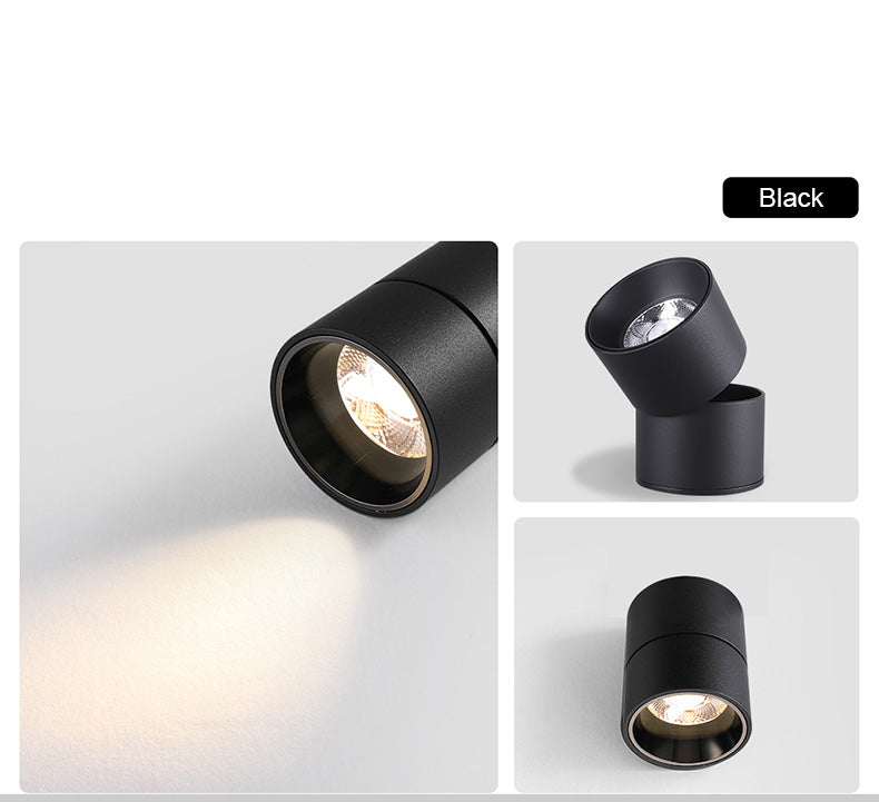 FLKL COB LED Downlight Spot Light 220V Spotlight Ceiling Surface Mounted 5/10/15/25W Led Lamp For Kitchen Indoor Lighting