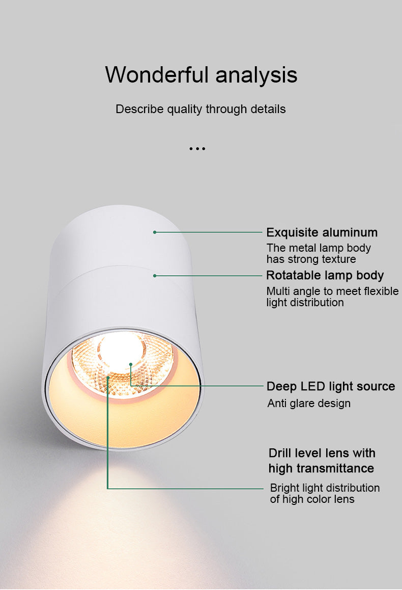 FLKL COB LED Downlight Spot Light 220V Spotlight Ceiling Surface Mounted 5/10/15/25W Led Lamp For Kitchen Indoor Lighting
