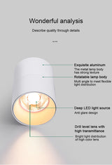 FLKL COB LED Downlight Spot Light 220V Spotlight Ceiling Surface Mounted 5/10/15/25W Led Lamp For Kitchen Indoor Lighting