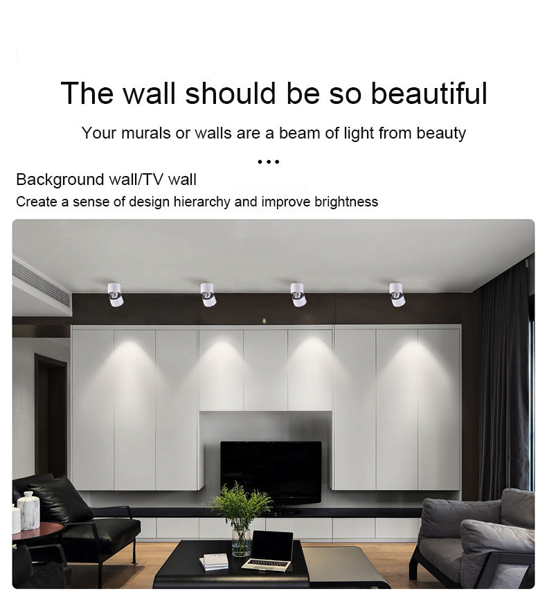 FLKL COB LED Downlight Spot Light 220V Spotlight Ceiling Surface Mounted 5/10/15/25W Led Lamp For Kitchen Indoor Lighting