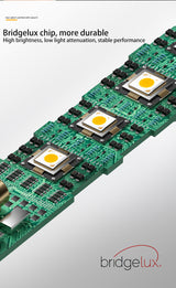 BRGT IP65 LED Spotlights Waterproof Downlight 5W9W12W Aluminum Ceiling Lamp Foco For Outdoor Kitchen Bathroom Indoor Lighting