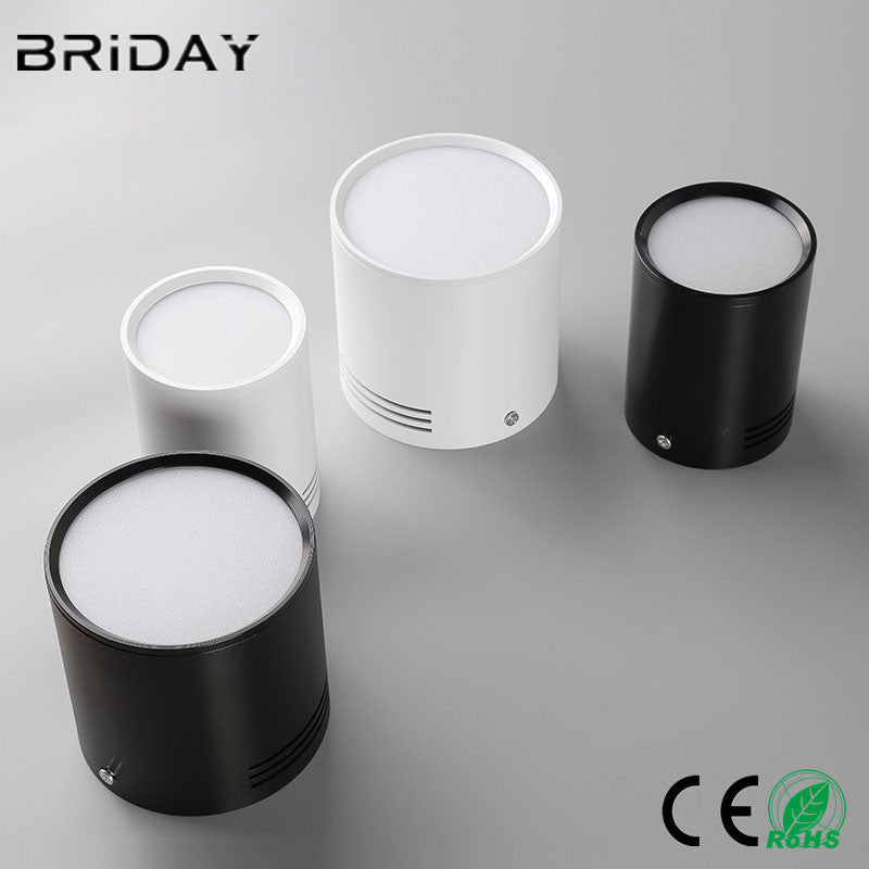 LED Dimmable Surface Mounted LED Downlight 24W 18W 12W 9W 7W 5W High-performance LED Indoor Lighting AC110V-220V