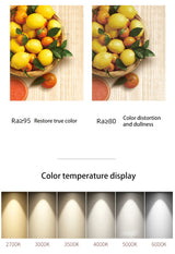 BRGT Led Mini Spot Lights Small Downlight Embedded Focos 2W 5W 7W Starlight Ceiling Lamp For Cabinet Display Wine Indoor Lighting