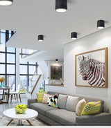 Dimmable LED Ceiling light down light 5W/7W/9W/12W/15W/18W/20W/24W No opening LED Spot light decoration Ceiling lamp