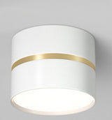 LED surface mounted downlight bedroom corridor aisle household light luxury entry light cloakroom simple modern living room spot