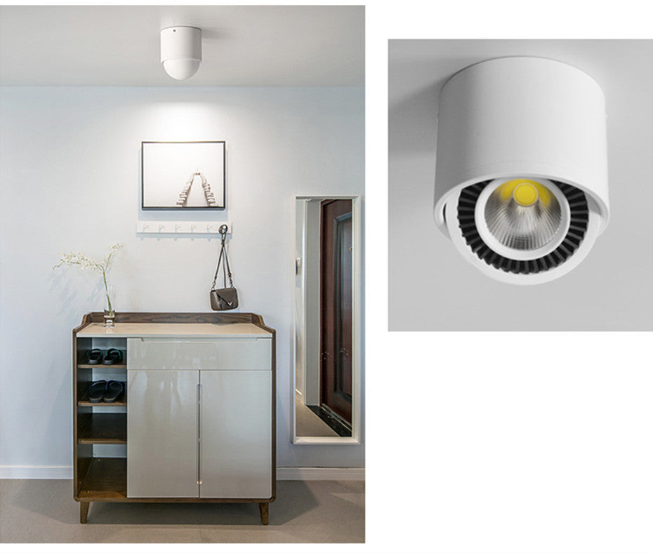 Surface mounted LED Downlight Dimmable Led COB Ceiling Spot light 5W 7W 9W 15W 360 degree rotating 110/220V Warm White/ white