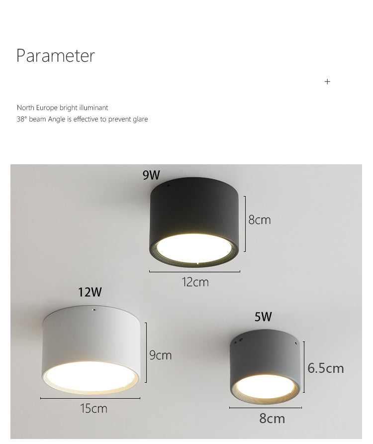 BRGT LED Surface Mounted Downlight 5W 7W 9W 12W SMD Ceiling Lamp Round Spot Lights AC85-265V Focos For Home Shop Indoor Lighting