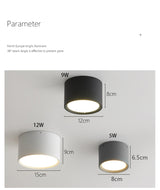 BRGT LED Surface Mounted Downlight 5W 7W 9W 12W SMD Ceiling Lamp Round Spot Lights AC85-265V Focos For Home Shop Indoor Lighting