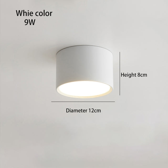 BRGT LED Surface Mounted Downlight 5W 7W 9W 12W SMD Ceiling Lamp Round Spot Lights AC85-265V Focos For Home Shop Indoor Lighting