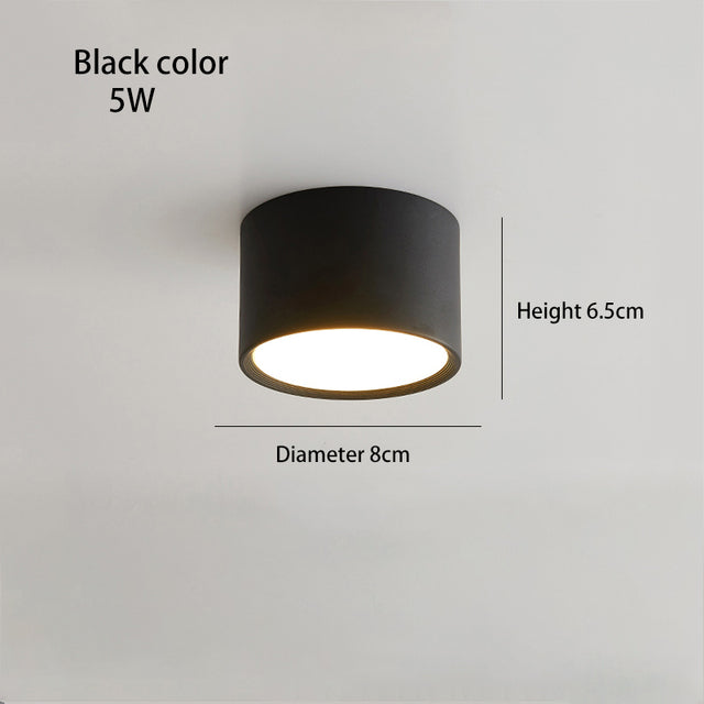 BRGT LED Surface Mounted Downlight 5W 7W 9W 12W SMD Ceiling Lamp Round Spot Lights AC85-265V Focos For Home Shop Indoor Lighting