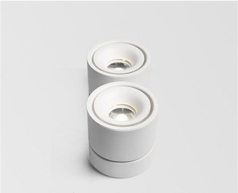 Dimmable COB LED Downlights 18W 24W 30W LED Ceiling Spot Lights AC110-240V LED Ceiling Lamps Warm Cold White Indoor Lighting