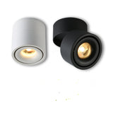 360 Degree Rotatable Surface Mounted Ceiling Downlight 7W 10W 12W 15W LED Ceiling Spot Light for Kitchen Living room Decor