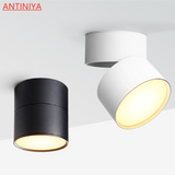 Dimmable Anti Glare Surface Mounted LED Downlight 10W/15W/20W Rotating LED Spot Light Ceiling Lamp with LED Driver AC90-260V